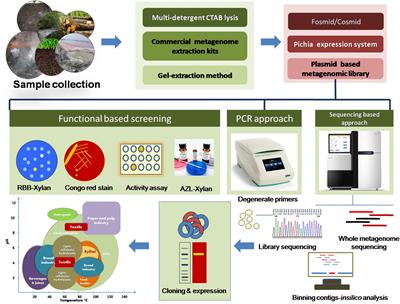 Xylanolytic Extremozymes Retrieved From Environmental Metagenomes: Characteristics, Genetic Engineering, and Applications